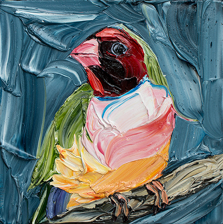 Alluring Gouldian Finch by Jodie Wells | Lethbridge Gallery